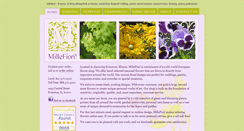 Desktop Screenshot of millefioriflorists.com